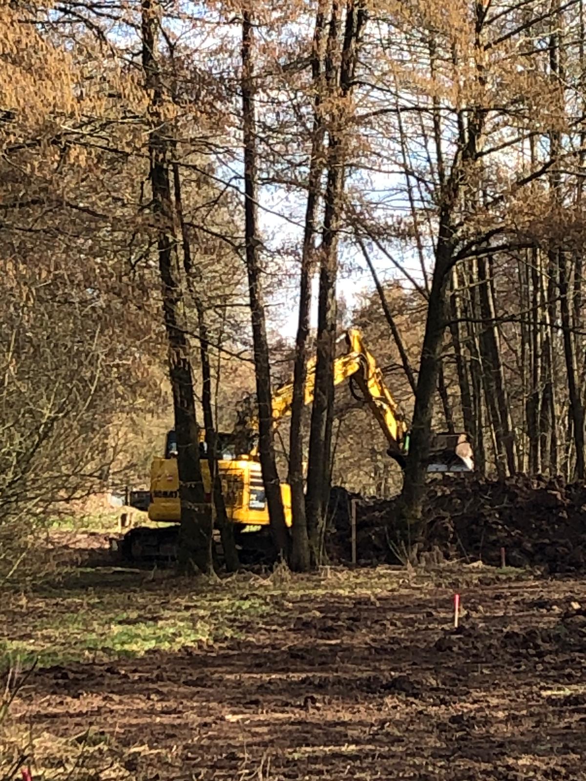 Fürstenau geht voran mit der Renaturierung und vergrößert den Substanzraum für die Natur!