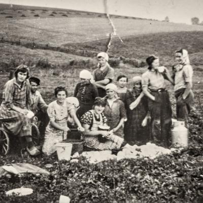 Frauen bei der Kartoffelernte