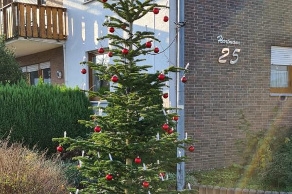 Weihnachsbaum Aufstellen 2021